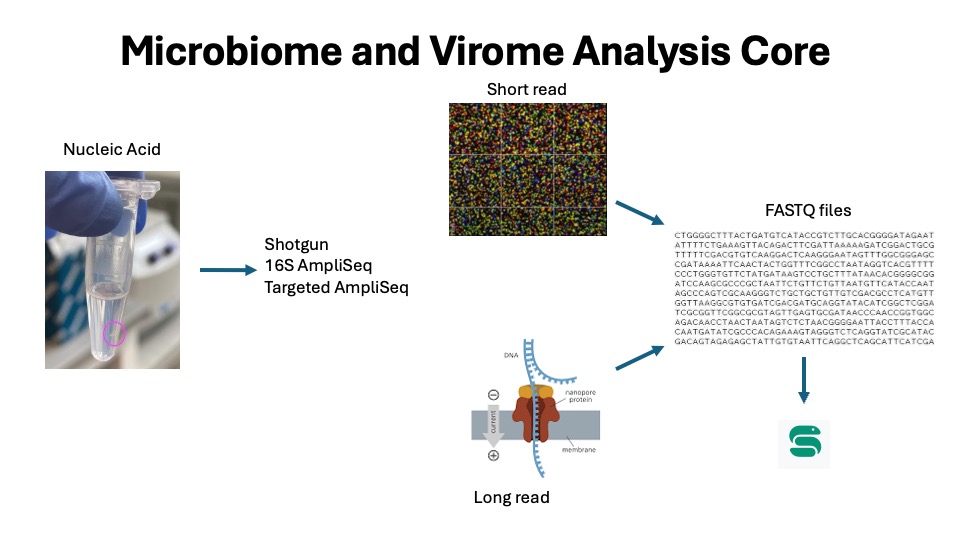 Rendering Nucleic Acid samples into electronic sequences and their computational analysis.